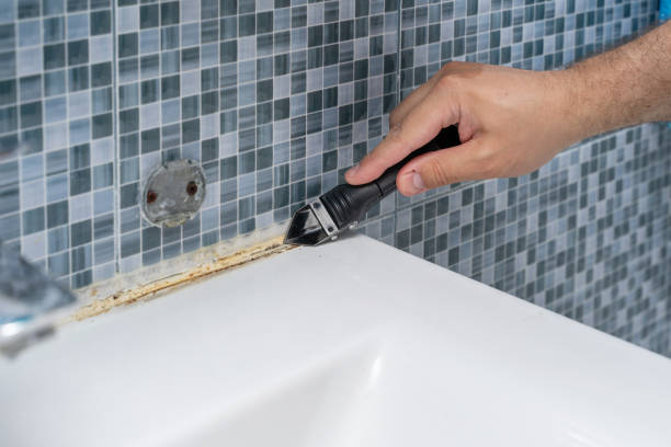 Reliable Moyie Springs, ID Mold Remediation Solutions